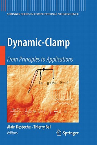 Könyv Dynamic-Clamp Alain Destexhe