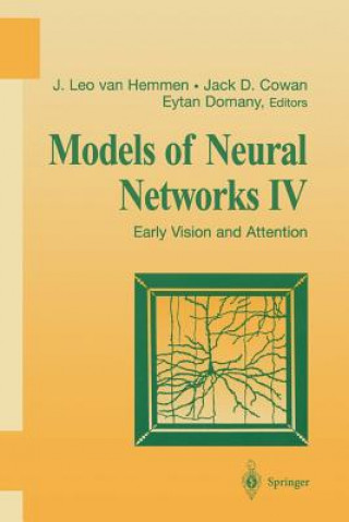 Carte Models of Neural Networks IV J. Leo van Hemmen