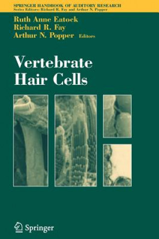 Knjiga Vertebrate Hair Cells Ruth A. Eatock