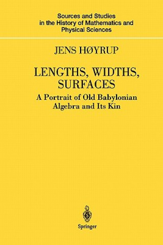 Könyv Lengths, Widths, Surfaces Jens H