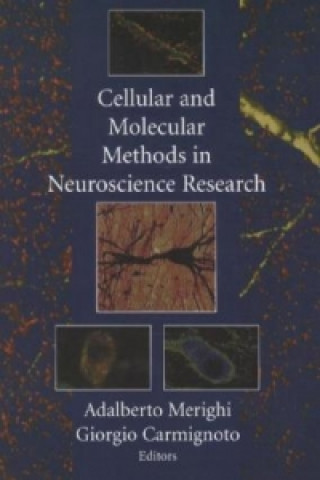 Knjiga Cellular and Molecular Methods in Neuroscience Research Adalberto Merighi