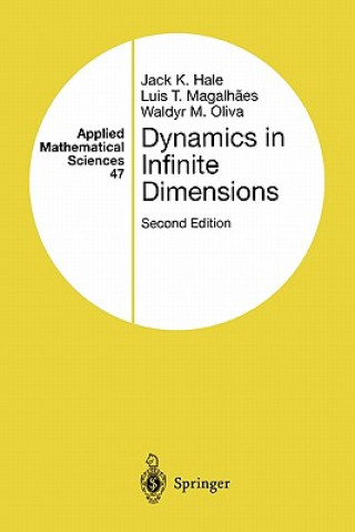 Buch Dynamics in Infinite Dimensions Jack K. Hale