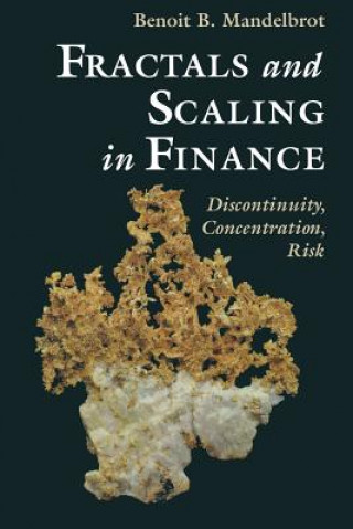 Könyv Fractals and Scaling in Finance Benoît B. Mandelbrot