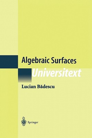Boek Algebraic Surfaces Lucian Badescu