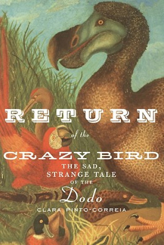 Carte Return of the Crazy Bird Clara Pinto-Correia
