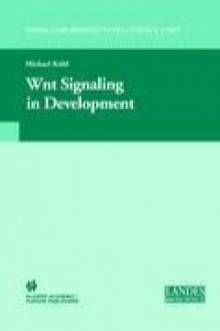 Kniha Wnt Signaling in Development Michael Kühl