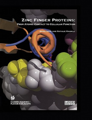 Kniha Zinc Finger Proteins Shiro Iuchi
