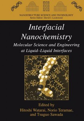 Knjiga Interfacial Nanochemistry Hitoshi Watarai