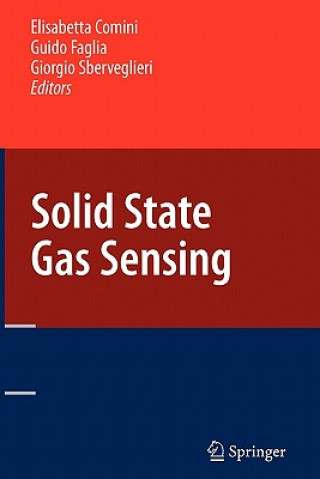 Könyv Solid State Gas Sensing Elisabetta Comini