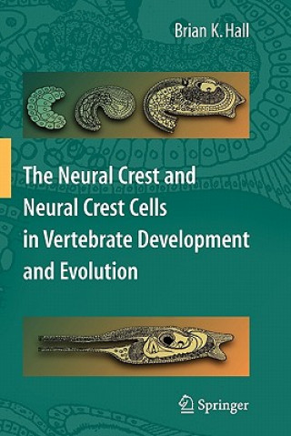 Książka Neural Crest and Neural Crest Cells in Vertebrate Development and Evolution Brian K. Hall