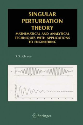 Kniha Singular Perturbation Theory R.S. Johnson