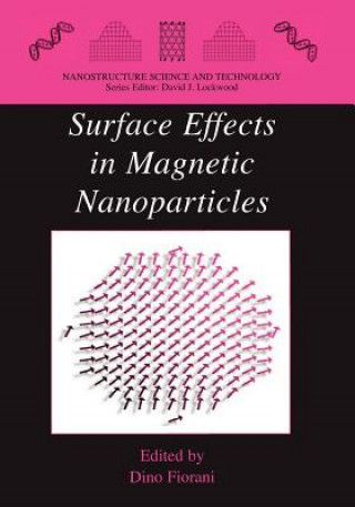 Kniha Surface Effects in Magnetic Nanoparticles Dino Fiorani