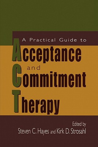 Kniha Practical Guide to Acceptance and Commitment Therapy Steven C. Hayes