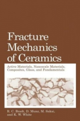 Könyv Fracture Mechanics of Ceramics R.C. Bradt