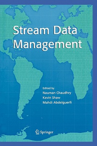 Könyv Stream Data Management Nauman Chaudhry