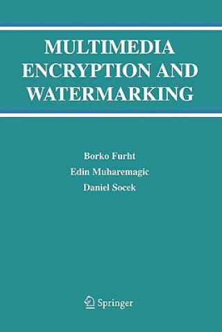 Книга Multimedia Encryption and Watermarking Borko Furht