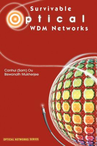 Kniha Survivable Optical WDM Networks Canhui Ou
