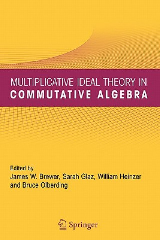 Kniha Multiplicative Ideal Theory in Commutative Algebra James W. Brewer