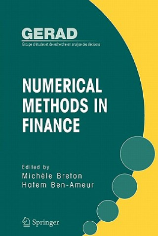 Kniha Numerical Methods in Finance Mich