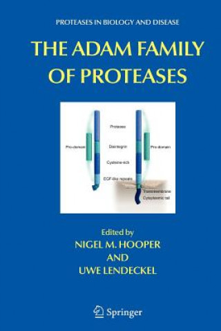 Kniha ADAM Family of Proteases Nigel M. Hooper