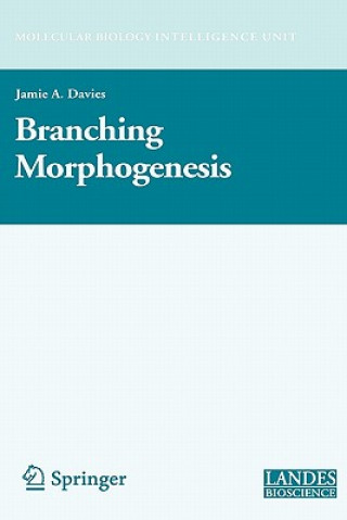 Carte Branching Morphogenesis Jamie Davies