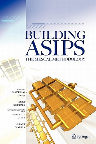 Libro Building ASIPs:  The Mescal Methodology Matthias Gries