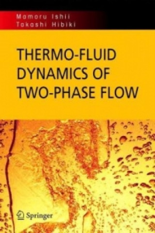 Kniha Thermo-fluid Dynamics of Two-Phase Flow Mamrou Ishii