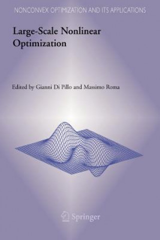 Knjiga Large-Scale Nonlinear Optimization Gianni Pillo