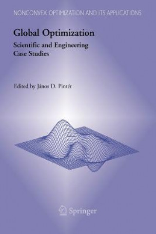 Kniha Global Optimization János D. Pintér