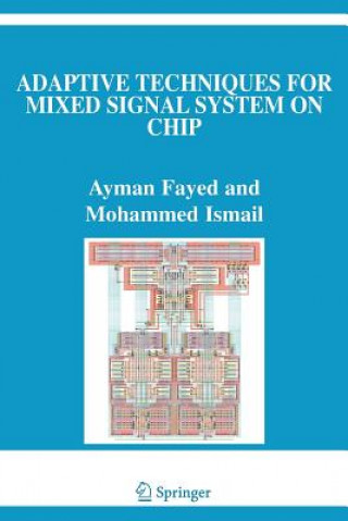 Kniha Adaptive Techniques for Mixed Signal System on Chip Ayman Fayed