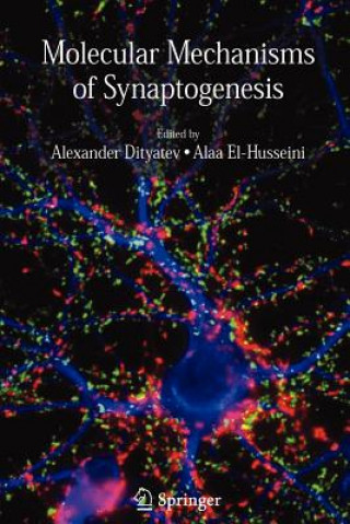 Kniha Molecular Mechanisms of Synaptogenesis Alexander Dityatev