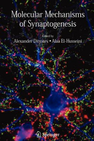 Book Molecular Mechanisms of Synaptogenesis Alexander Dityatev