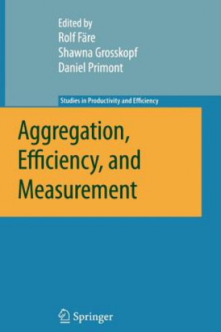 Книга Aggregation, Efficiency, and Measurement Rolf Färe