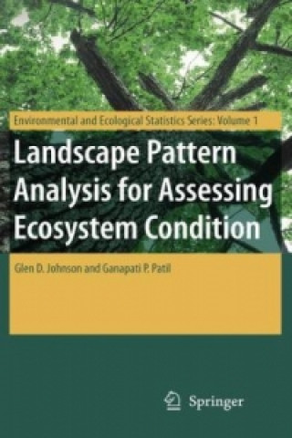 Boek Landscape Pattern Analysis for Assessing Ecosystem Condition Glen D. Johnson