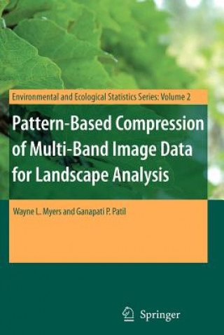 Carte Pattern-Based Compression of Multi-Band Image Data for Landscape Analysis Wayne L. Myers