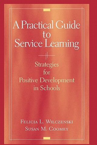 Kniha Practical Guide to Service Learning Felicia L. Wilczenski