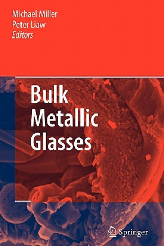 Livre Bulk Metallic Glasses Michael Miller