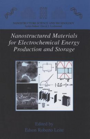 Kniha Nanostructured Materials for Electrochemical Energy Production and Storage Edson Roberto Leite