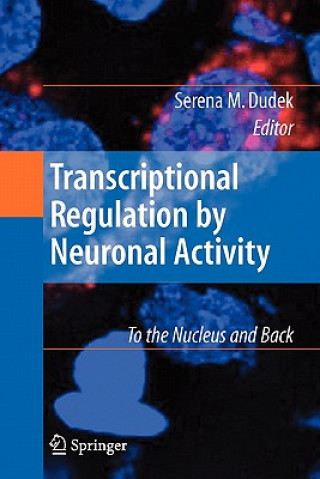 Livre Transcriptional Regulation by Neuronal Activity Serena Dudek