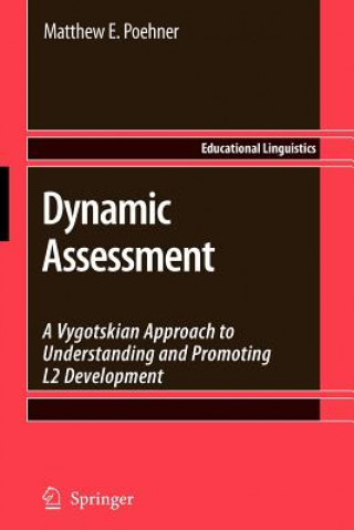 Könyv Dynamic Assessment Matthew E. Poehner