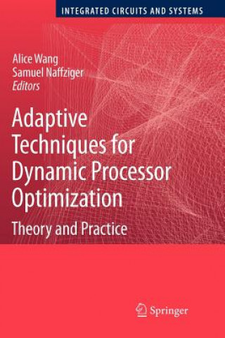 Carte Adaptive Techniques for Dynamic Processor Optimization Alice Wang