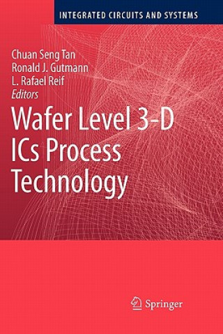 Kniha Wafer Level 3-D ICs Process Technology Chuan Seng Tan