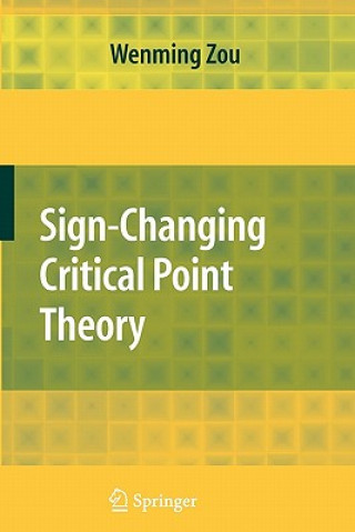 Könyv Sign-Changing Critical Point Theory Wenming Zou