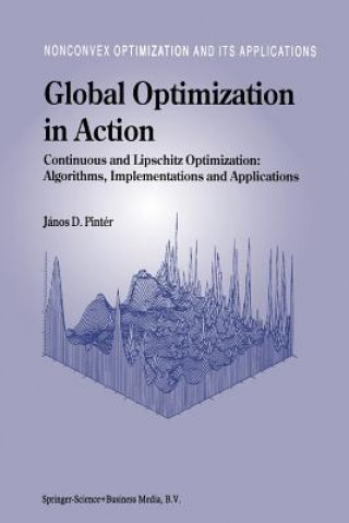 Kniha Global Optimization in Action János D. Pintér