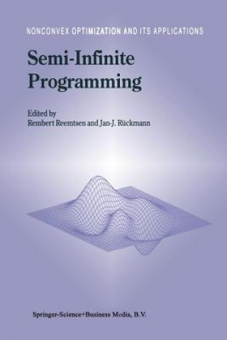Kniha Semi-Infinite Programming Rembert Reemtsen