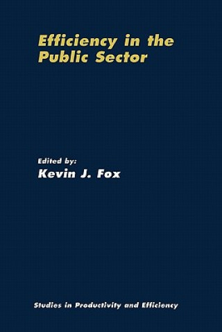 Kniha Efficiency in the Public Sector Kevin J. Fox