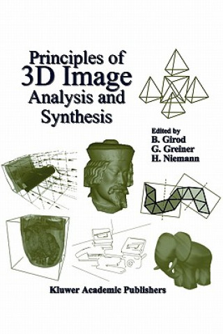 Book Principles of 3D Image Analysis and Synthesis Bernd Girod