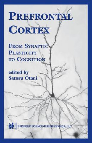 Kniha Prefrontal Cortex Satoru Otani