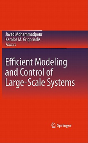 Kniha Efficient Modeling and Control of Large-Scale Systems Javad Mohammadpour