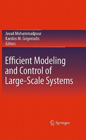 Książka Efficient Modeling and Control of Large-Scale Systems Javad Mohammadpour